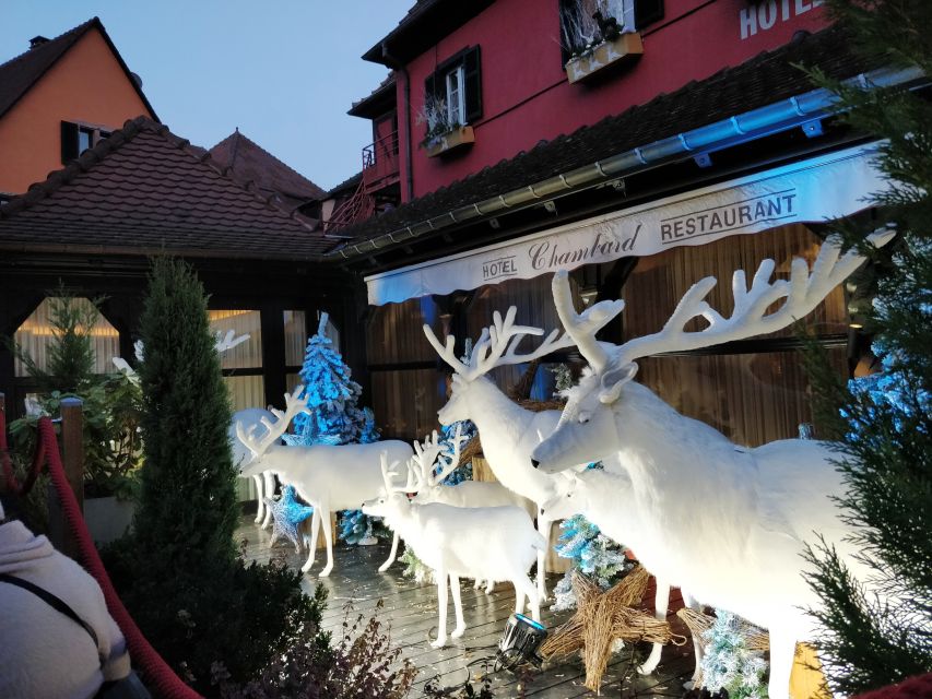 Enchanting Christmas Experience From Colmar - Eguisheim, a circular village built for wandering