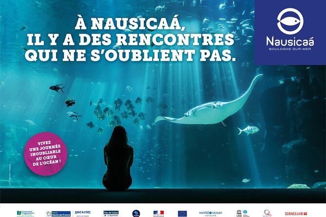 Entrance Ticket Nausicaa, the biggest aquarium in Europe - The giant tank and its most memorable animals
