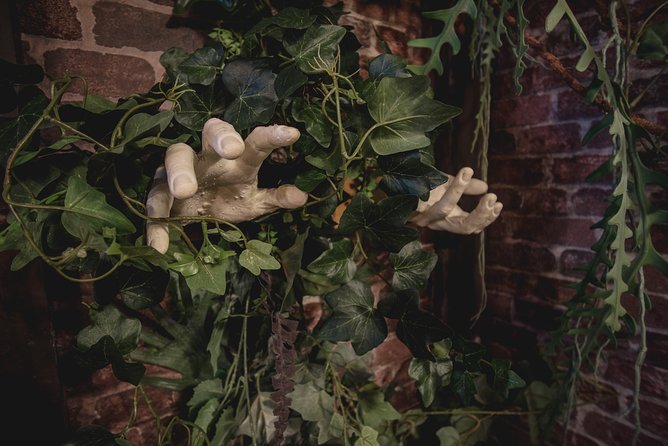 Escape Hunt Paris, Escape Game - Who will enjoy Escape Hunt Paris