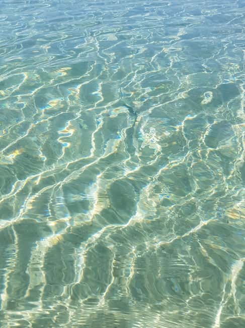 Excursion to Porquerolles Island from Bandol - Your first look at Porquerolles port
