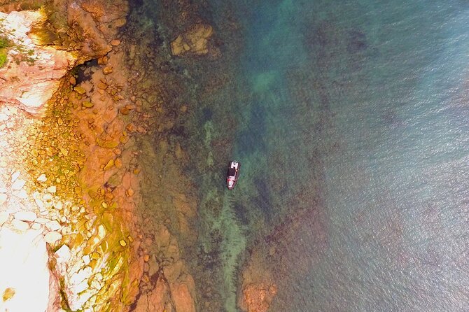 Explore the Wild Beauty of the Basque Coast by Boat - Hondarribia and the Spanish side of the route