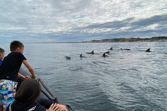 Explore the Wild Beauty of the Basque Coast by Boat - Is $83.27 a fair price?