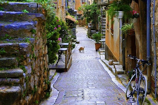French Riviera & Medieval villages Full Day Private Tour - Grasse and the Fragonard perfume factory