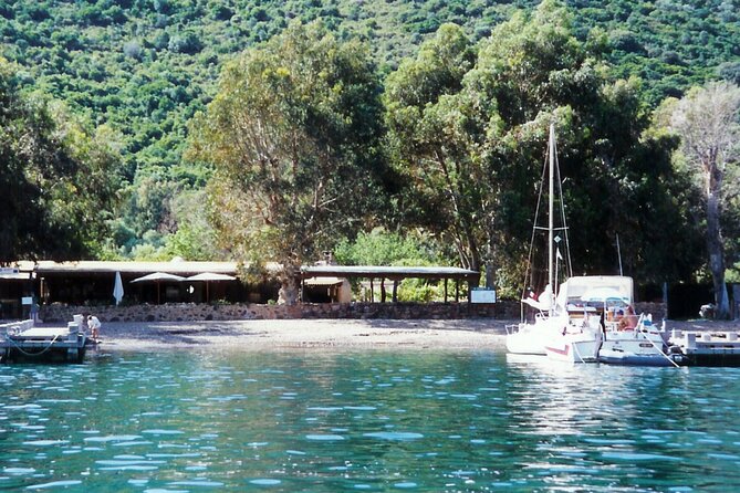 Friendly discovery of Scandola Calanques de Piana and meal stop at Girolata - Is $82.27 a fair price?