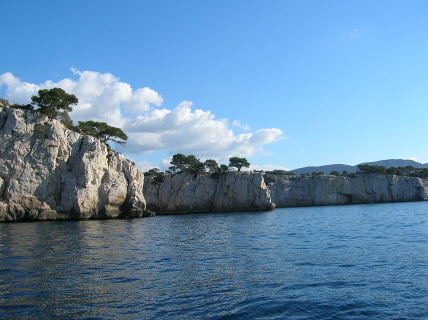 From Aix: Cassis Boat Ride & Provence Wine Tasting Day Tour - Tasting Cassis wines at a local vineyard