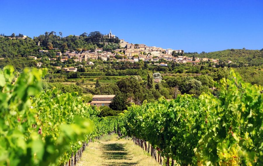 From Aix-en-Provence: Half-Day Wine Tour - First winery: a close look at local wine