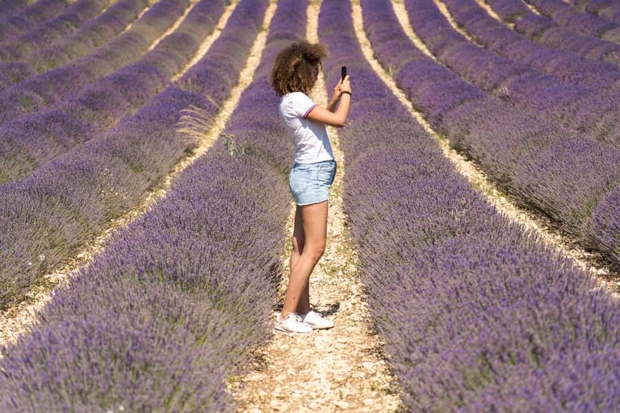 From Aix-en-Provence: Valensole Lavender Full-Day Tour - What the $182 price gets you