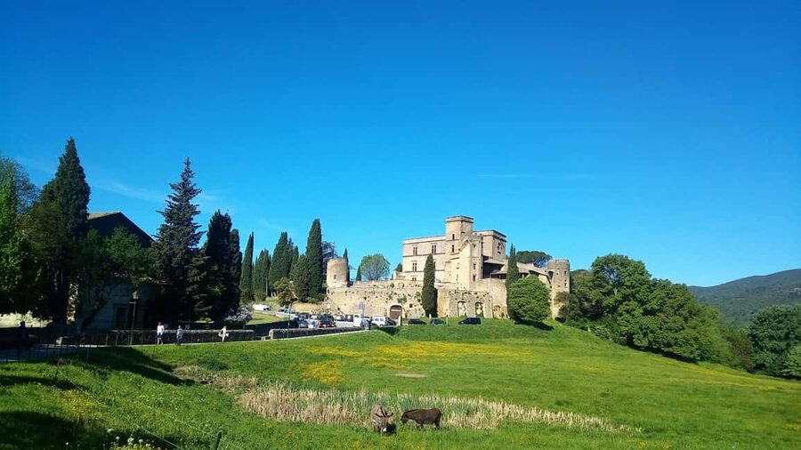 From Aix-en-Provence: Wine & Luberon Villages Full-day Tour - Who should book this day