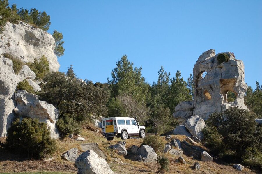 From Arles: Alpilles Regional Park Provence 4x4 Safari - The olive mill and the taste of Provence