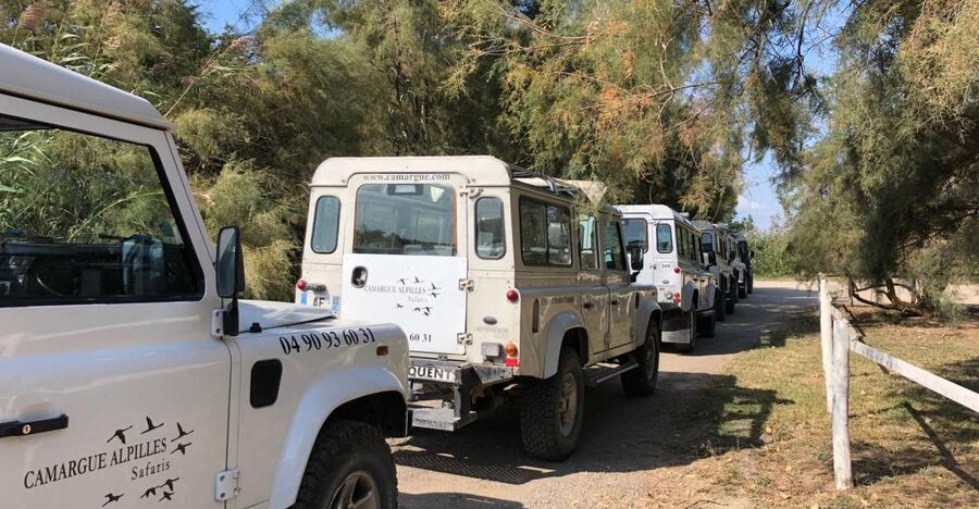 From Arles: Half-Day 4x4 Camargue Safari - Why the Camargue is best seen from a 4x4