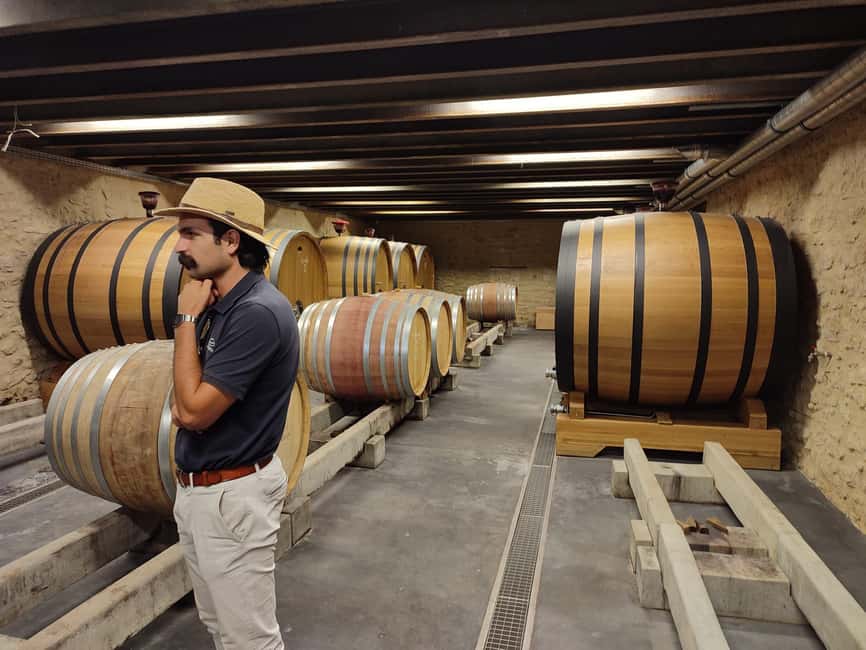 From Avignon: Châteauneuf du Pape Half-Day Wine Tour - The ride back and what four hours really means