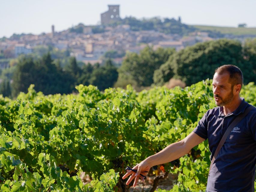From Avignon: Châteauneuf du Pape Half-Day Wine Tour - Who should book this Châteauneuf-du-Pape tour?