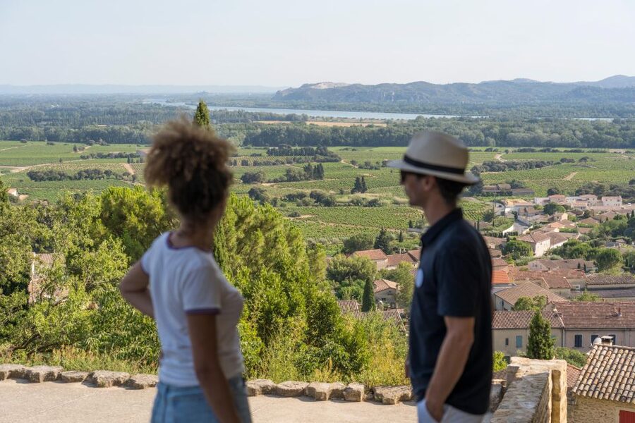 From Avignon: Châteauneuf du Pape Half-Day Wine Tour - The ride from Avignon to the vineyards