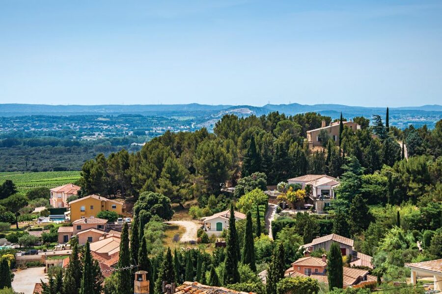 From Avignon: Half-Day Great Vineyards Tour - What the wine tastings are really like