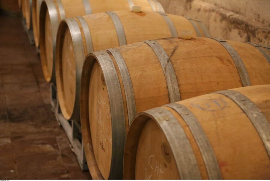 From Avignon: Half-Day Great Vineyards Tour - Is $94 a good value?