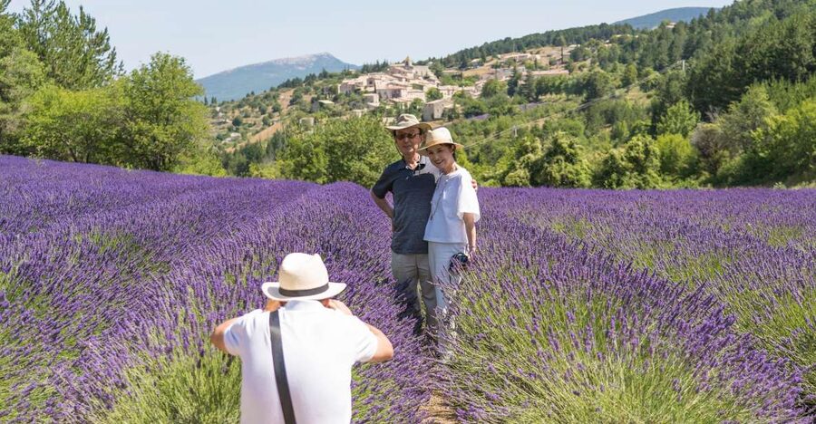 From Avignon: Half-Day Lavender Tour of Luberon - Key points to know before booking