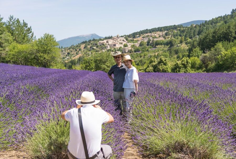 From Avignon: Half-Day Lavender Tour of Luberon - Why this half-day route works from Avignon