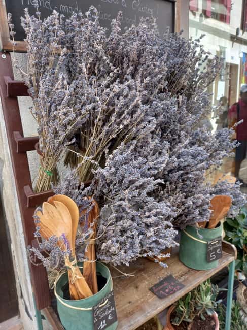 From Avignon: Half-Day Lavender Tour of Luberon - Who will enjoy this tour most?