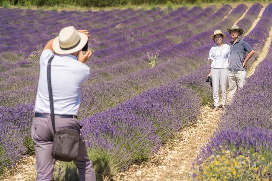 From Avignon: Half Day Lavender Tour to Sault - The guides make the difference