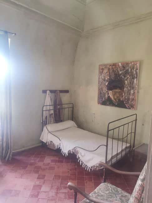 From Avignon: In the Footsteps of Van Gogh in Provence - Saint-Paul-de-Mausole and the setting behind the paintings