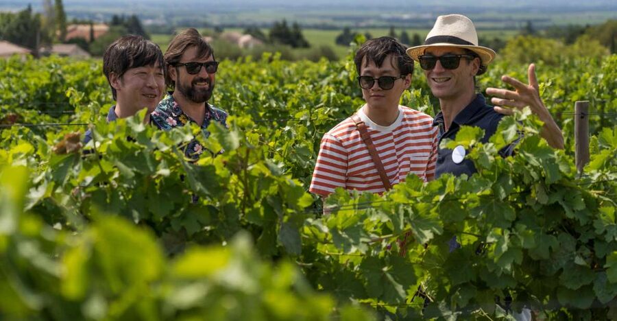 From Avignon: Luberon and Chateauneuf-du-Pape Full-Day Tour - From Avignon to the ochre walls of Roussillon