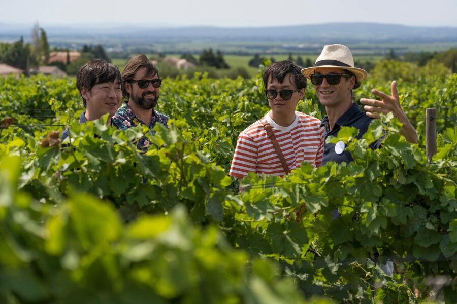 From Avignon: Luberon and Chateauneuf-du-Pape Full-Day Tour - Gordes from the Luberon viewpoint