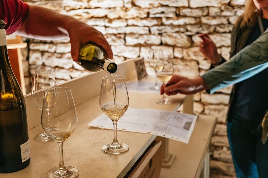 From Beaune: Burgundy Day Trip with 14 Wine Tastings - Key points at a glance