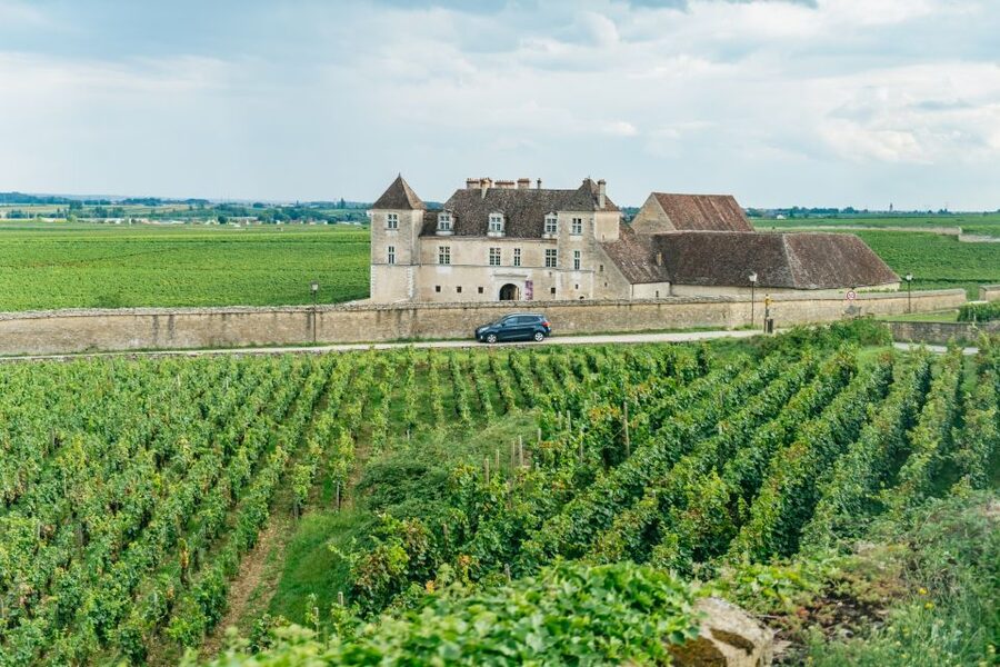 From Beaune: Burgundy Day Trip with 14 Wine Tastings - Why this Beaune wine day works