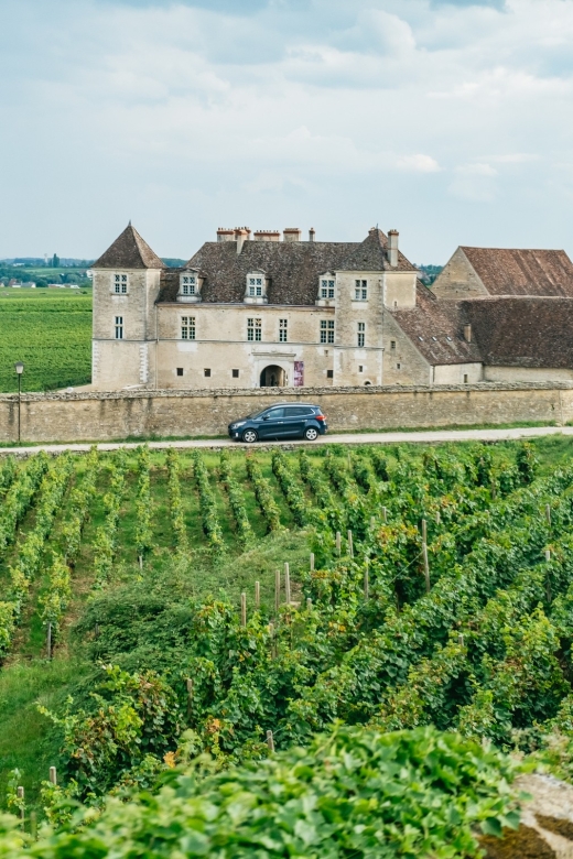 From Beaune: Burgundy Day Trip with 14 Wine Tastings - Driving the Route des Grands Crus