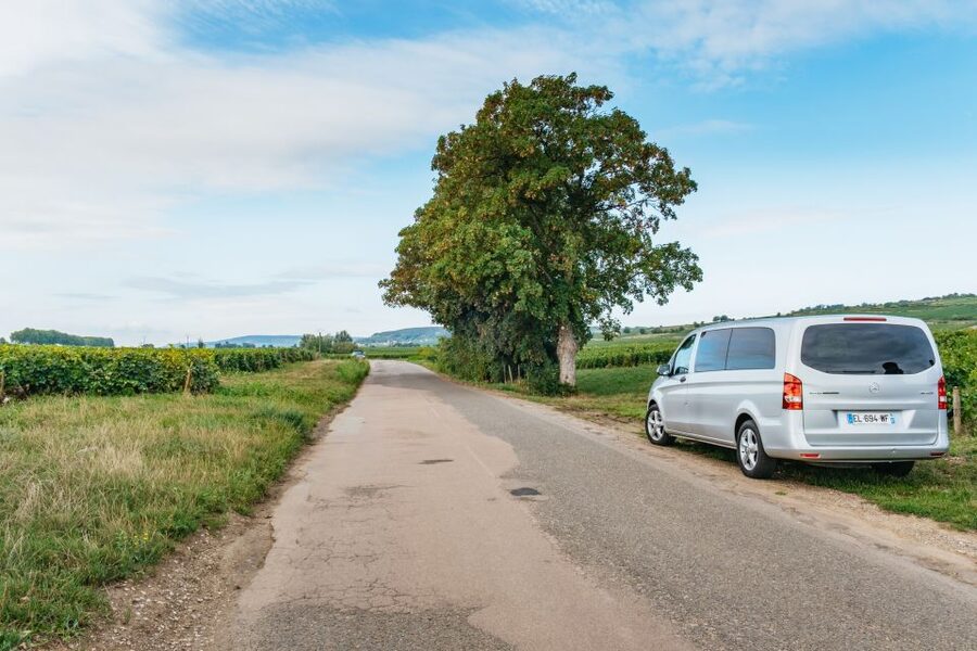 From Beaune: Burgundy Day Trip with 14 Wine Tastings - Clos de Vougeot and Romanée-Conti