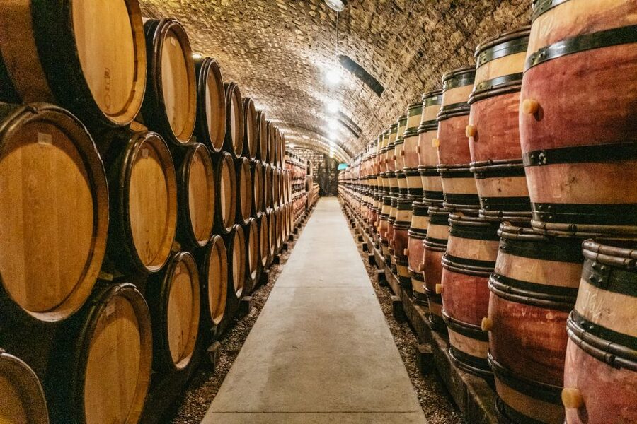 From Beaune: Burgundy Day Trip with 14 Wine Tastings - Nuits-Saint-Georges and the winemaker’s cellar