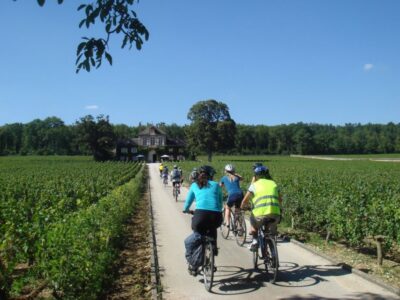 Full-Day Bicycle and Wine Tour in Burgundy