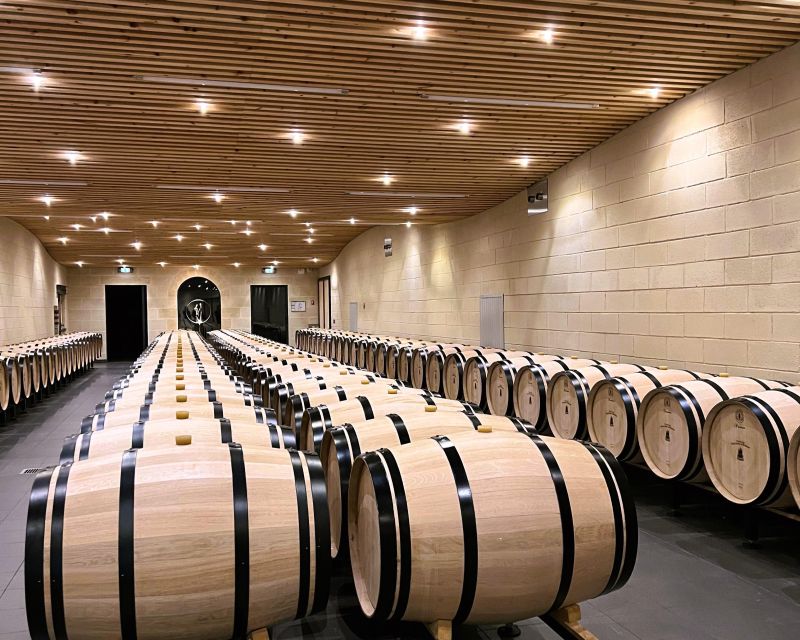 From Bordeaux: Afternoon Saint-Emilion Wine Tasting & snack - Who will get the most from this tour