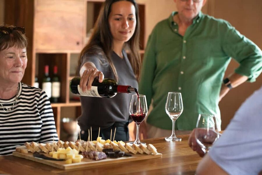 From Bordeaux: Afternoon Saint-Emilion Wine Tasting & snack - Is the $112 price fair?