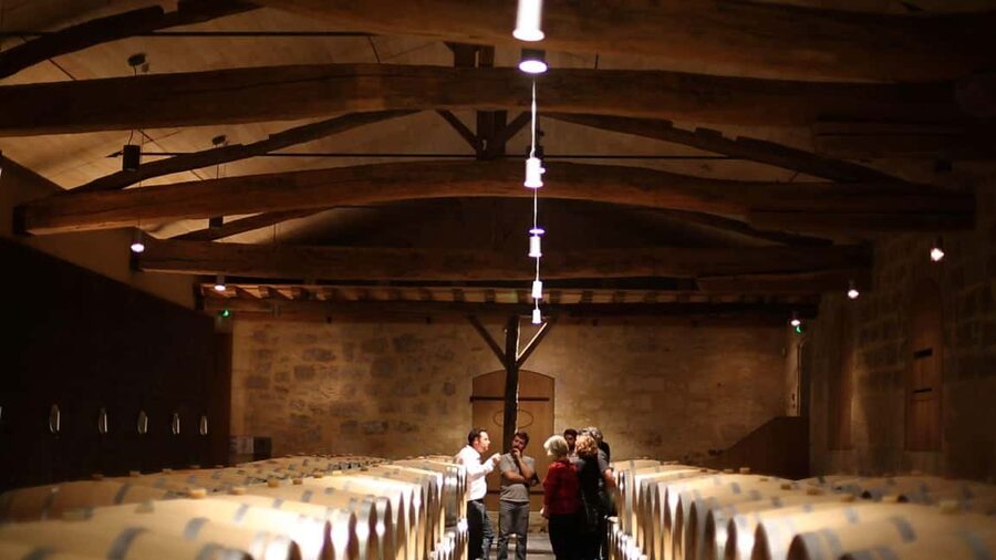 From Bordeaux: Afternoon Saint-Emilion Wine Tasting & snack - Should you book this Saint-Émilion afternoon?