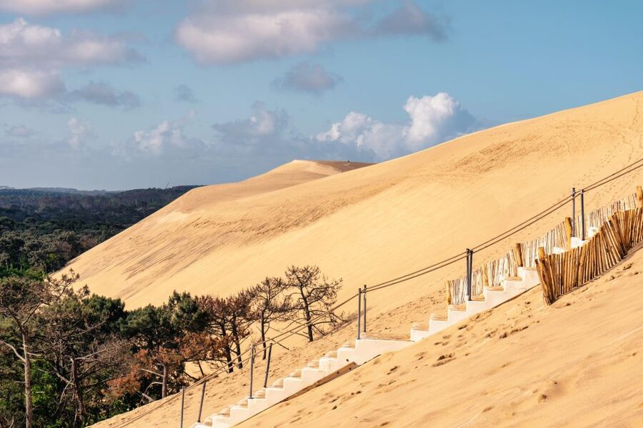 From Bordeaux: Arcachon Bay Full Day Tour and Oyster Lunch - Arcachon’s Winter Town is a quick architectural lesson