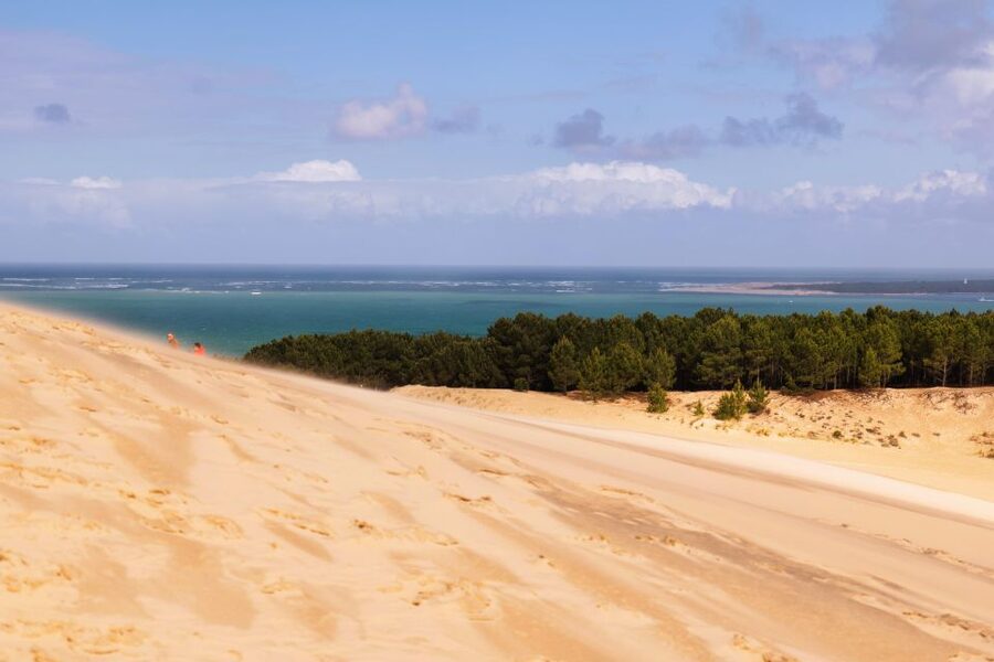 From Bordeaux: Arcachon Bay Full Day Tour and Oyster Lunch - Small-group transport keeps the day personal