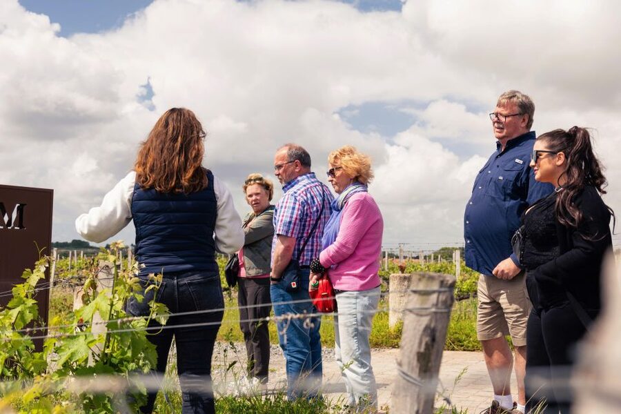 From Bordeaux: Essential Morning Tour with Wine Tasting - Walking through the family-run estate