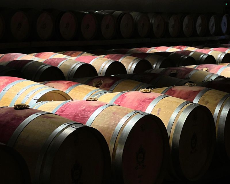 From Bordeaux: Essential Morning Tour with Wine Tasting - What the $81 price means in practice
