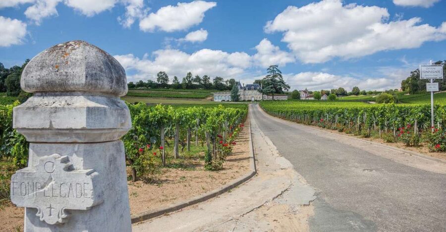 From Bordeaux: Full-Day St Emilion Wine Tasting Tour - Why the Right Bank tastes different