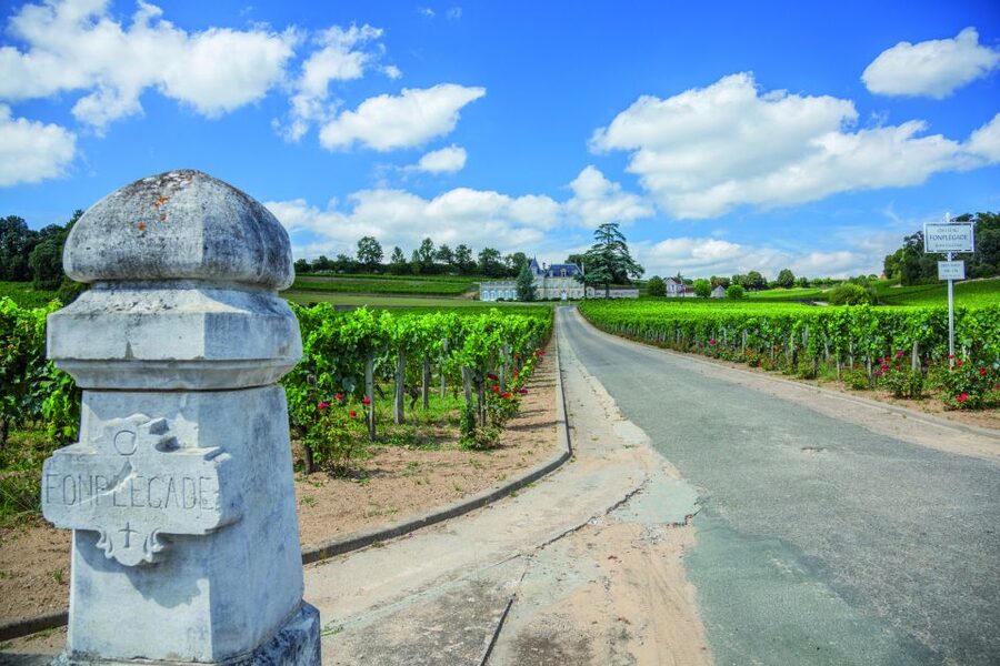 From Bordeaux: Full-Day St Emilion Wine Tasting Tour - First chateau: start with the basics