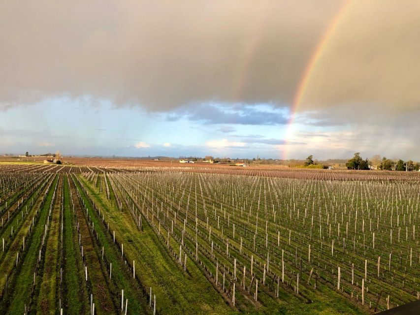 From Bordeaux: Half-Day Saint-Emilion Wine Tour - Leaving Bordeaux for the Saint-Émilion countryside