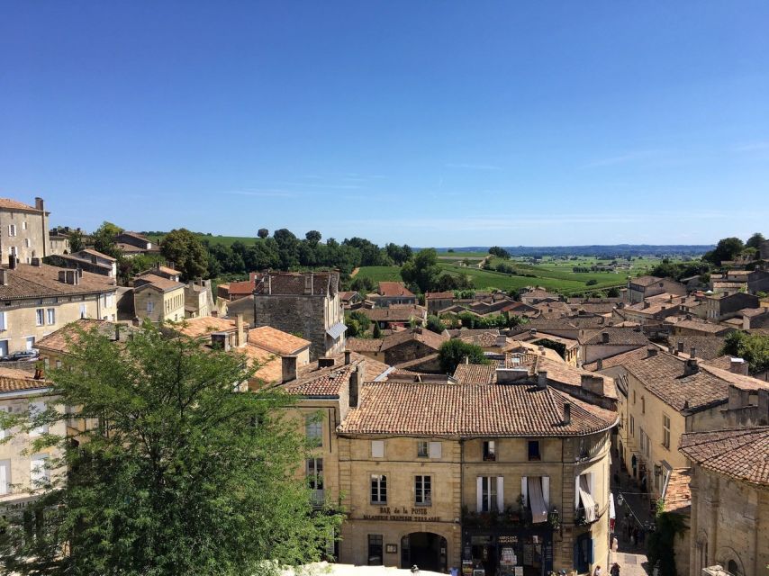From Bordeaux: Saint-Emilion Guided Wine Tasting Tour - What the guides add to the afternoon