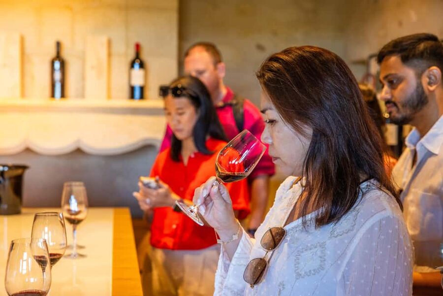 From Bordeaux: Saint-Emilion Guided Wine Tasting Tour - The first winery: wine from vine to bottle
