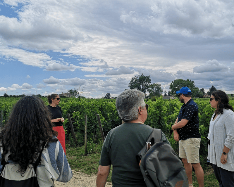 From Bordeaux: Saint-Émilion Half-Day Tour with Wine Tasting - Key points to know before you book