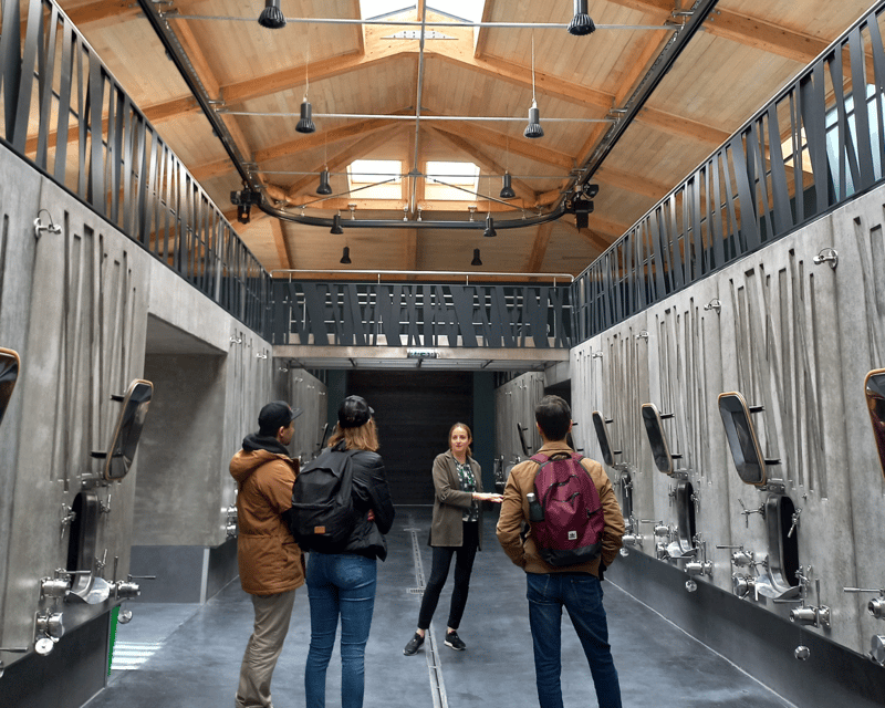 From Bordeaux: Saint-Émilion Half-Day Tour with Wine Tasting - From the Cité du Vin to the Saint-Émilion vineyards