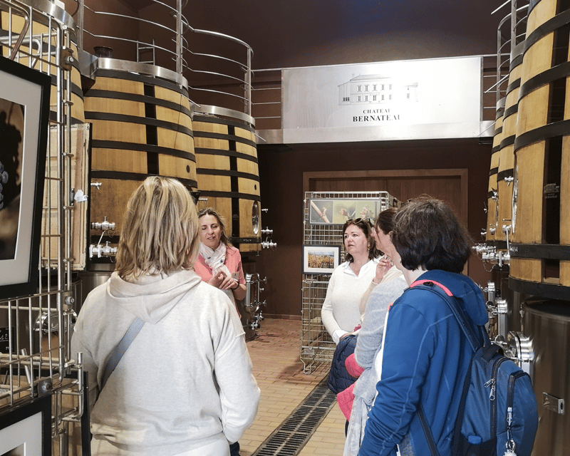From Bordeaux: Saint-Émilion Half-Day Tour with Wine Tasting - Why the $70 price works