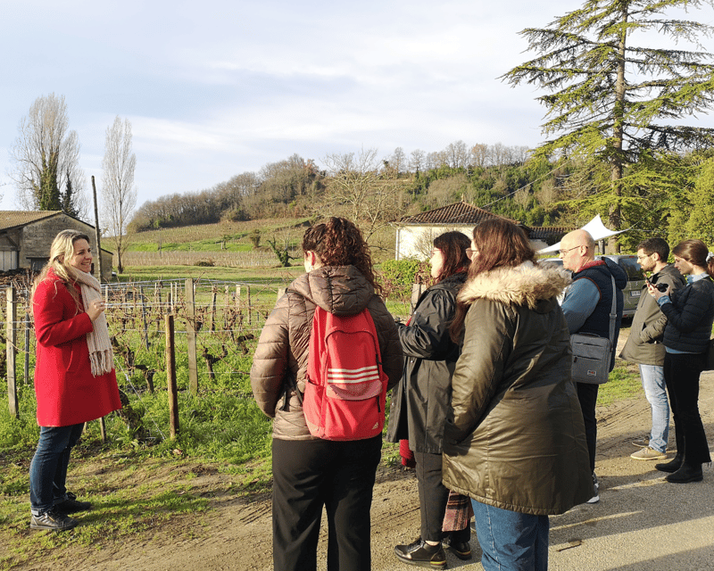 From Bordeaux: Saint-Émilion Half-Day Tour with Wine Tasting - A family-run organic winery, not a generic tasting room