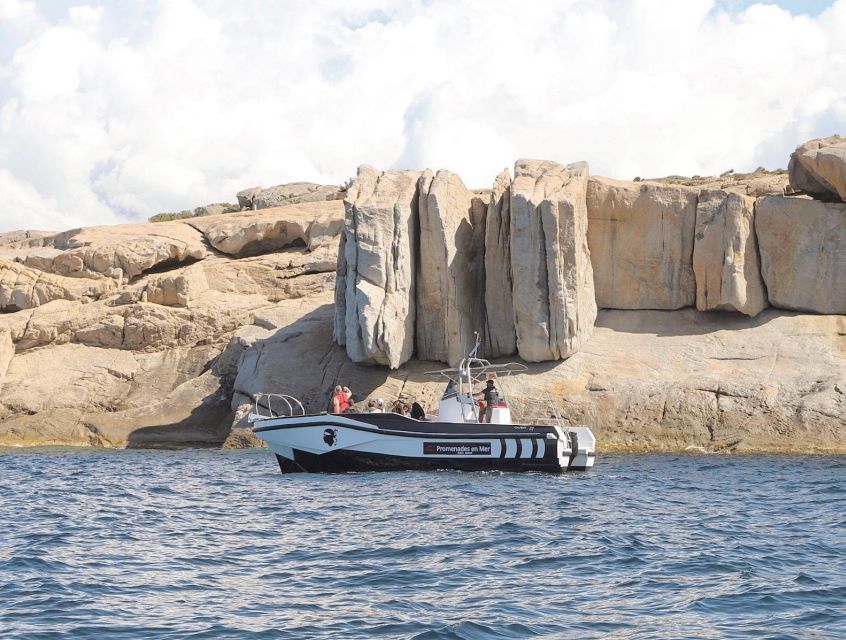 From Calvi: 2-Hour Sunset Cruise to Revellata Peninsula - Key points at a glance