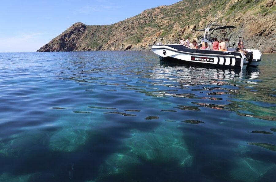 From Calvi: 2-Hour Sunset Cruise to Revellata Peninsula - The Alga Beach swimming stop